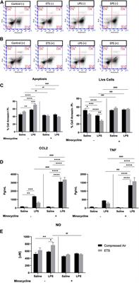 In Utero Exposure to Environmental Tobacco Smoke Increases Neuroinflammation in Offspring